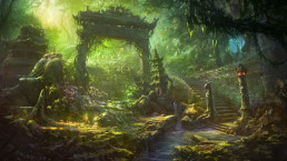 Jungle adventure